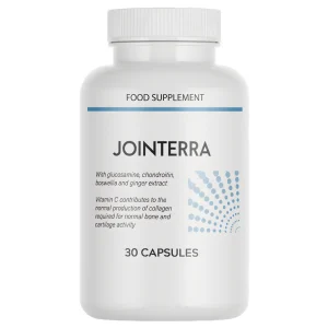 Jointerra